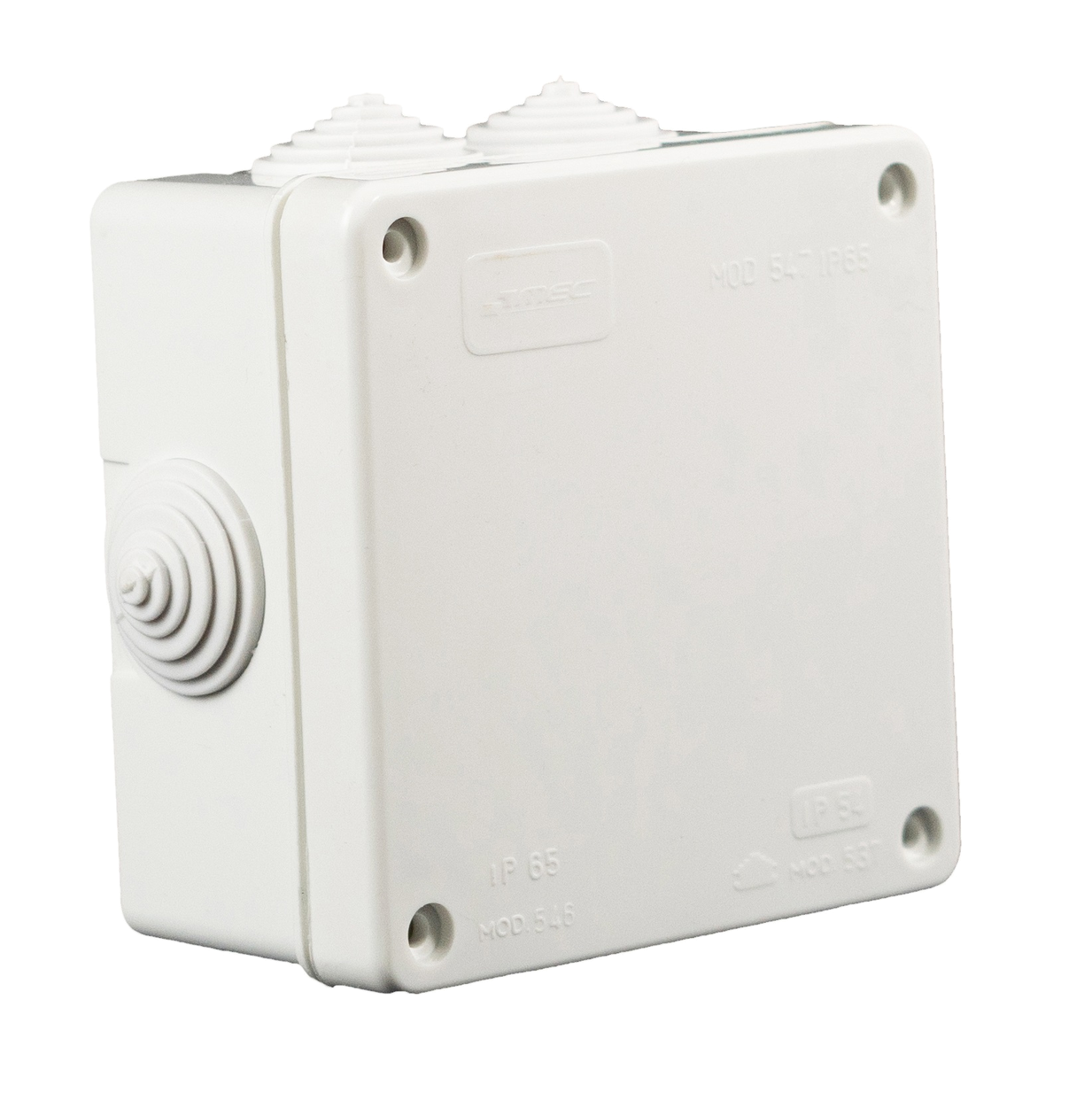 CAJA ESTANCA 100 X 100 X 60MM C/6 CONOS